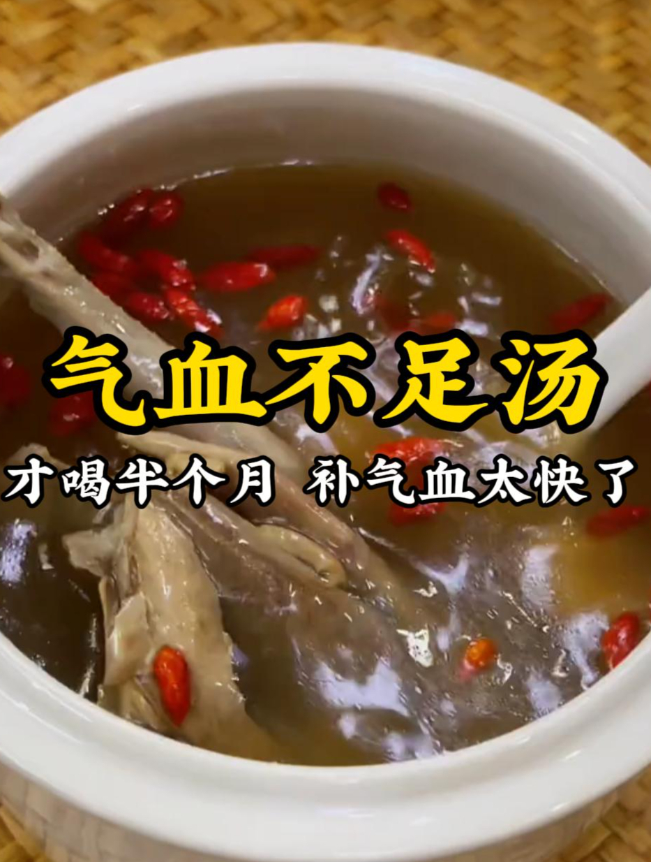 红参鸽子汤,才喝了半个月,补气血真的太快了