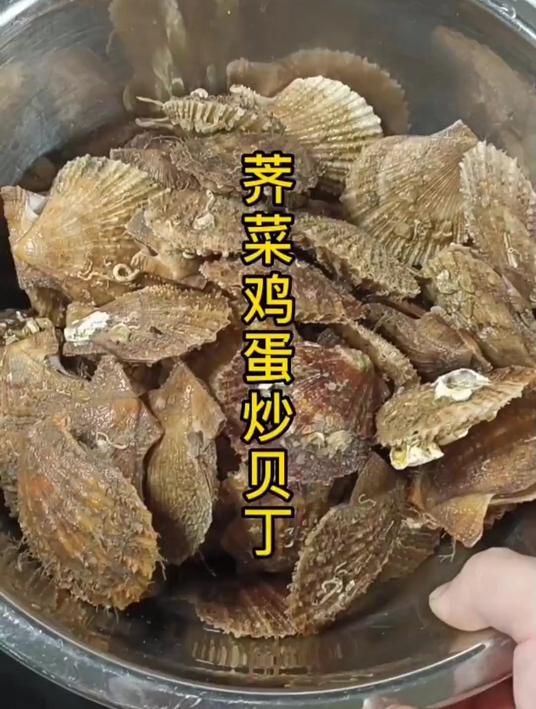今天用荠菜鸡蛋炒个扇贝肉。太鲜留了