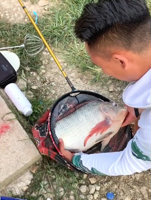 钓罗非鱼饵料选腥还是香还是肝味?老钓友这样说!