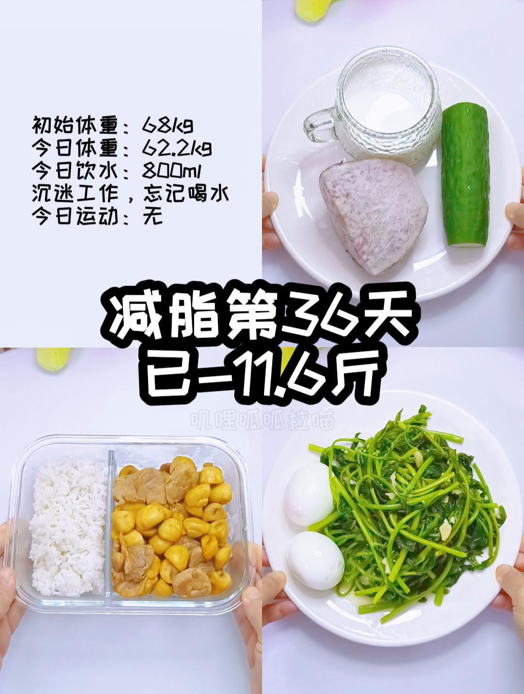 减脂第36天已-11.6斤,口蘑炒肉,清炒木耳菜