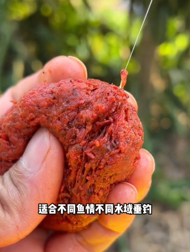 这就是秋冬低温季节该用的饵料,专攻低温鱼不开口!