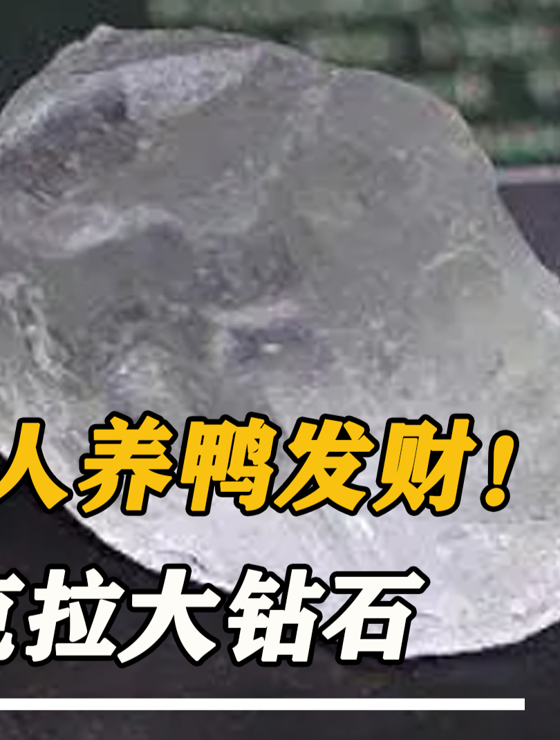 退伍军人养鸭发财!鸭肚掏出5克拉钻石,上交后国家奖励600