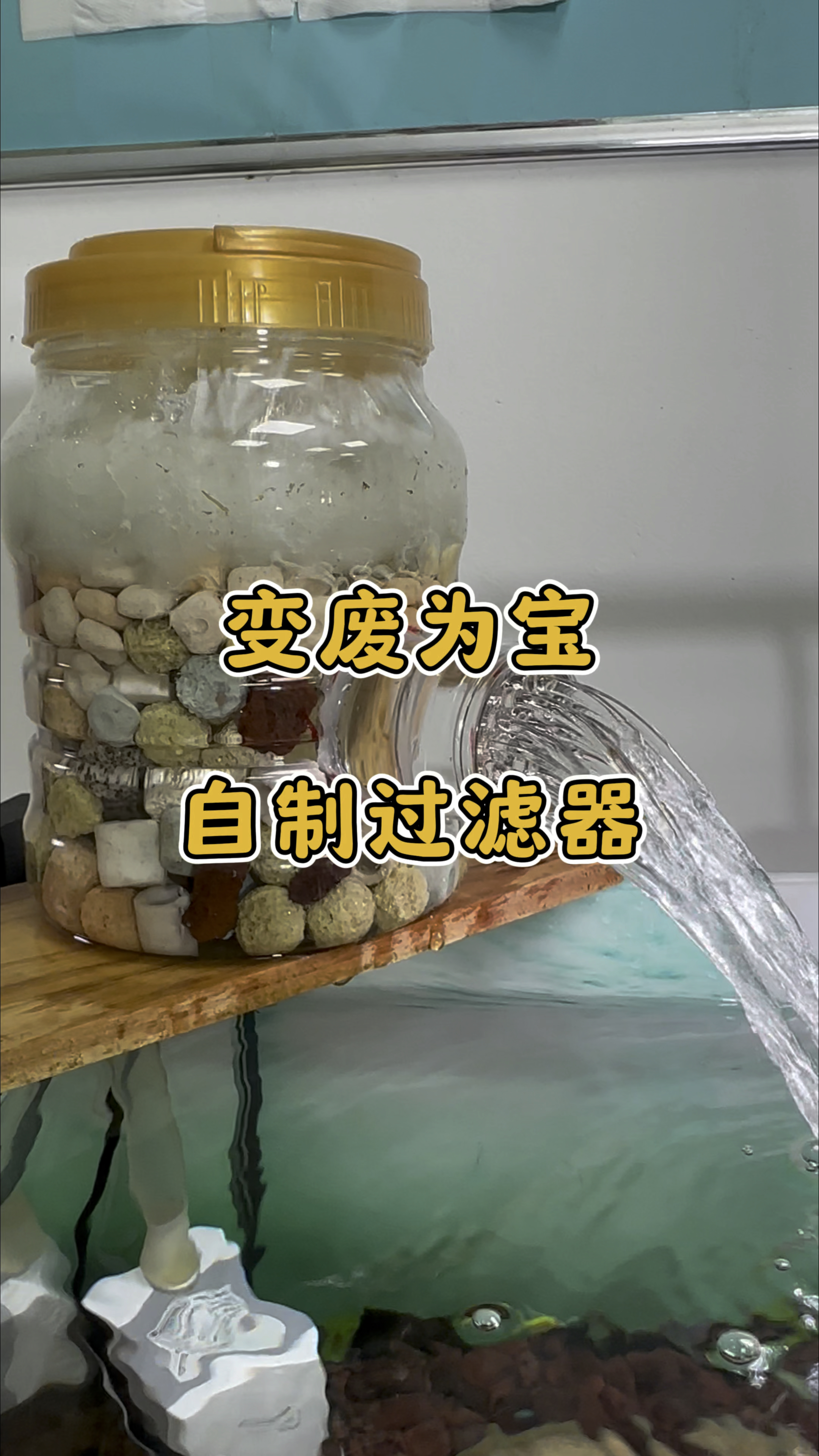 变废为宝,教你做个最省钱的鱼缸过滤器