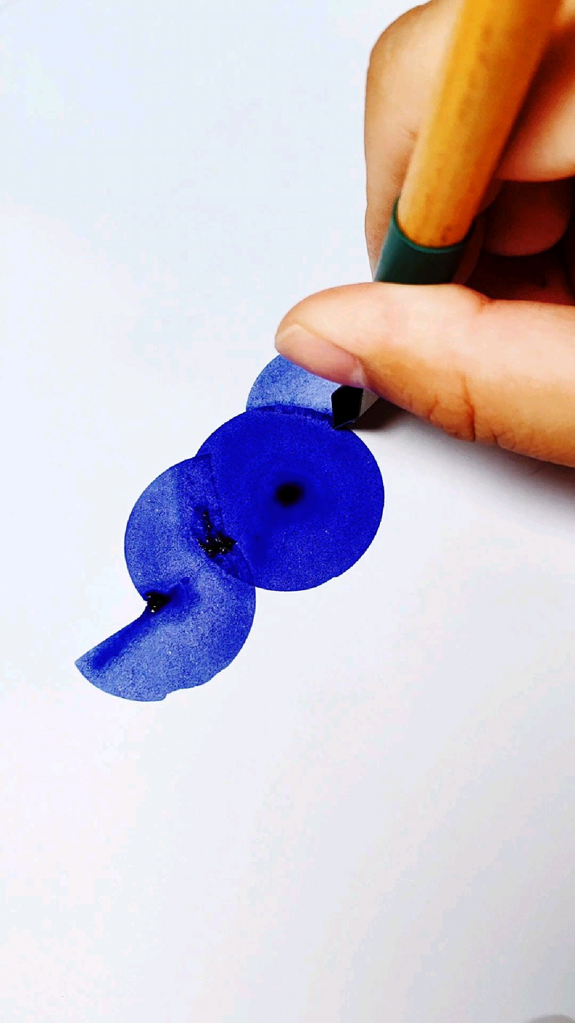 蘸水笔画一条小丑鱼