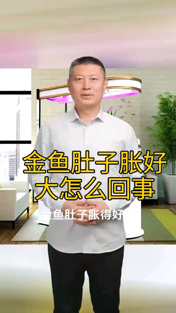 金鱼肚子胀好大怎么回事