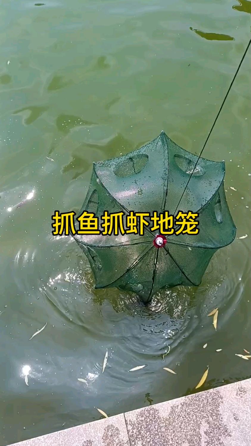 户外抓鱼抓虾地笼