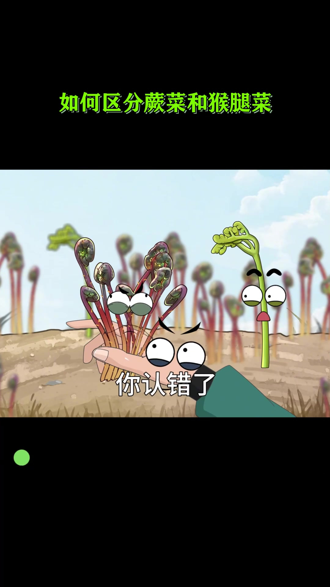如何区分蕨菜和猴腿菜