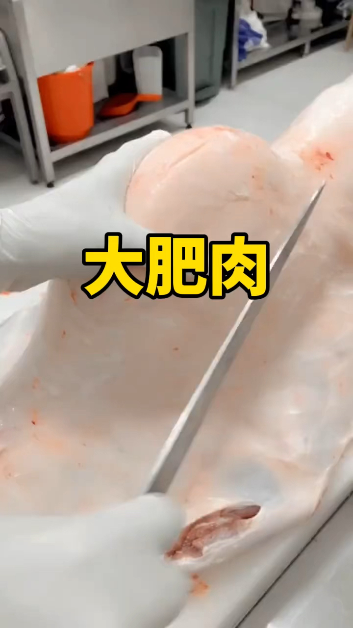 这大肥肉用炼油一定很不错。