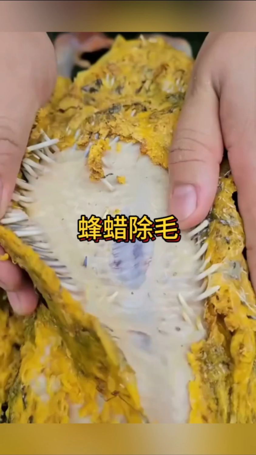 这个鸭毛处理的好干净啊,最主要的是没有科技与狠活