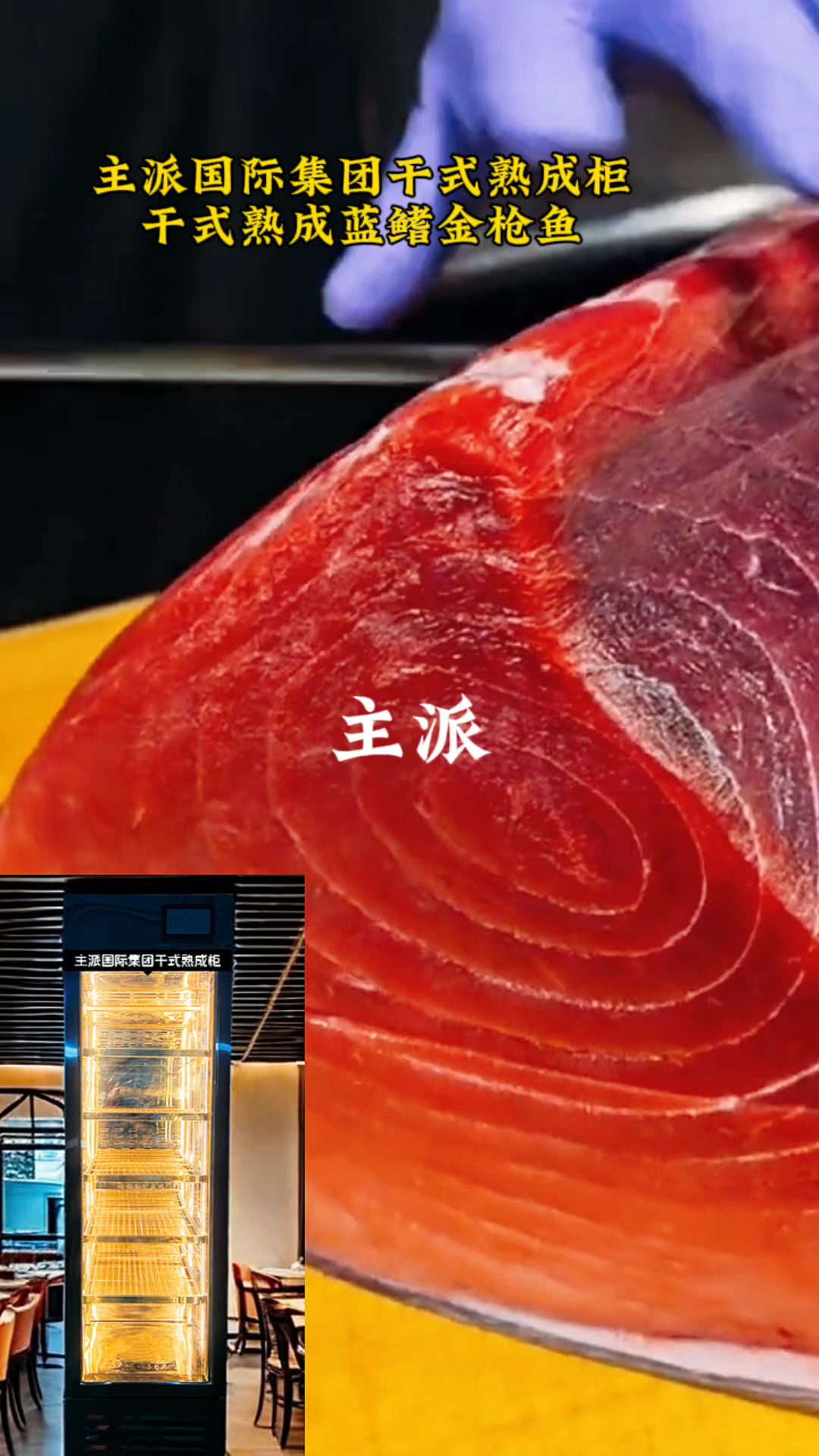 蓝鳍金枪鱼,主派国际集团干式熟成柜干式熟成蓝鳍金枪鱼,熟成鱼