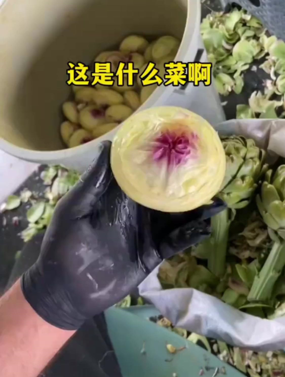 真好奇第一个吃这菜的人是什么想法啊