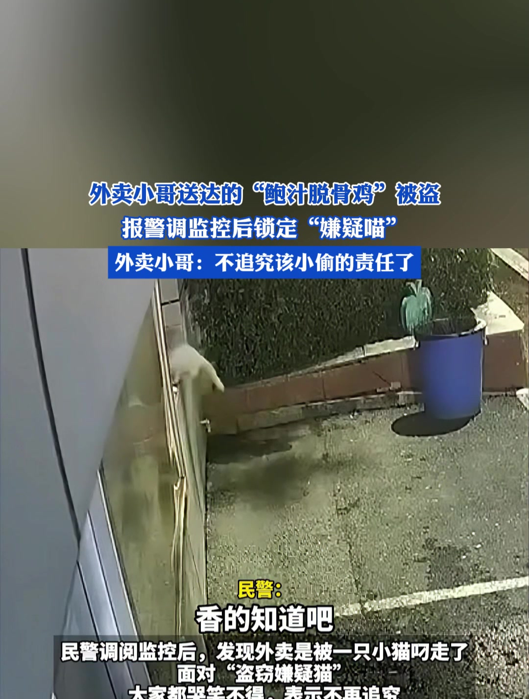 外卖小哥送达的“鲍汁脱骨鸡”被盗,报警调监控后锁定“嫌疑喵”