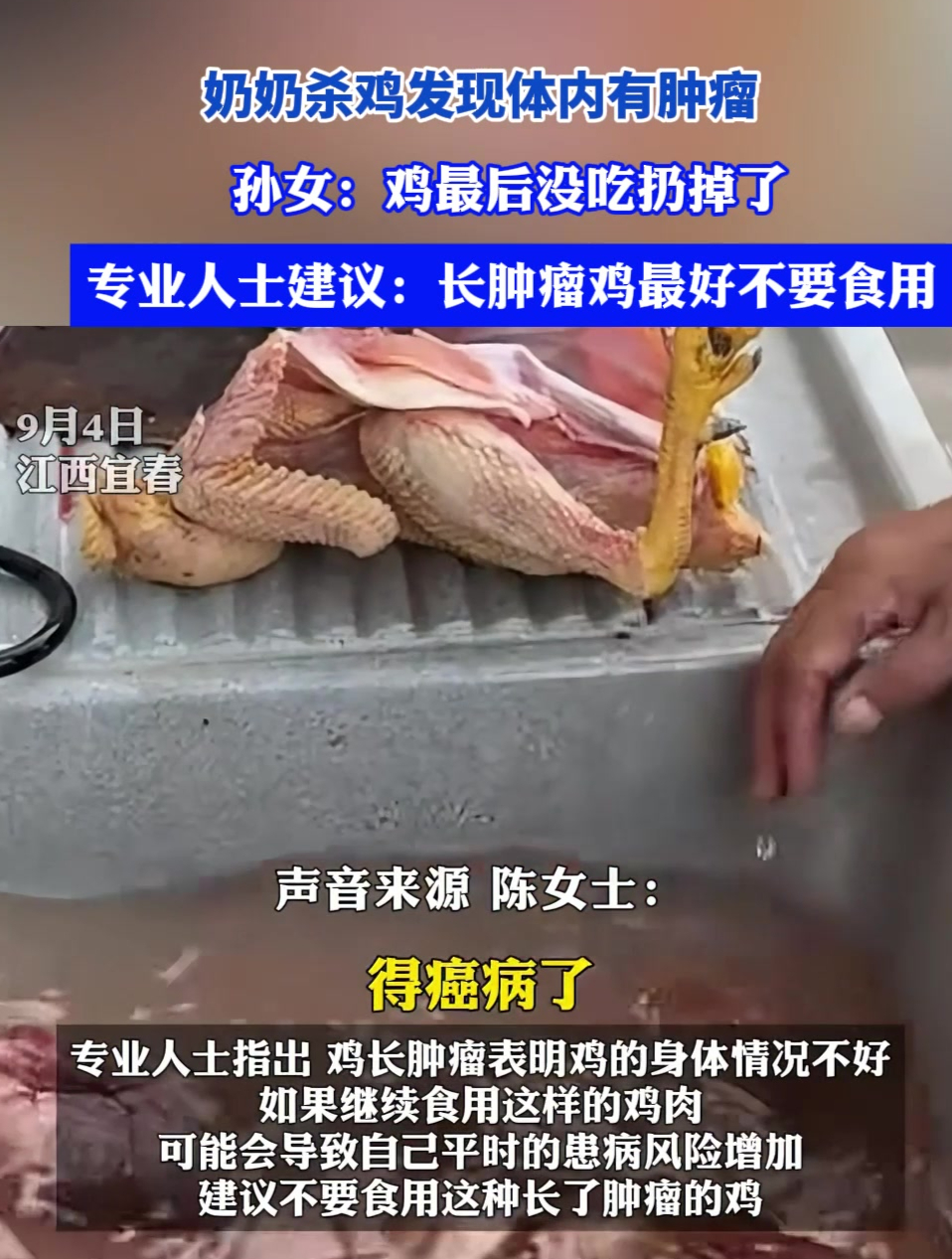 奶奶杀鸡发现体内有肿瘤,孙女:鸡最后没吃扔掉了,专业人士建议:长肿瘤鸡最好不要食用
