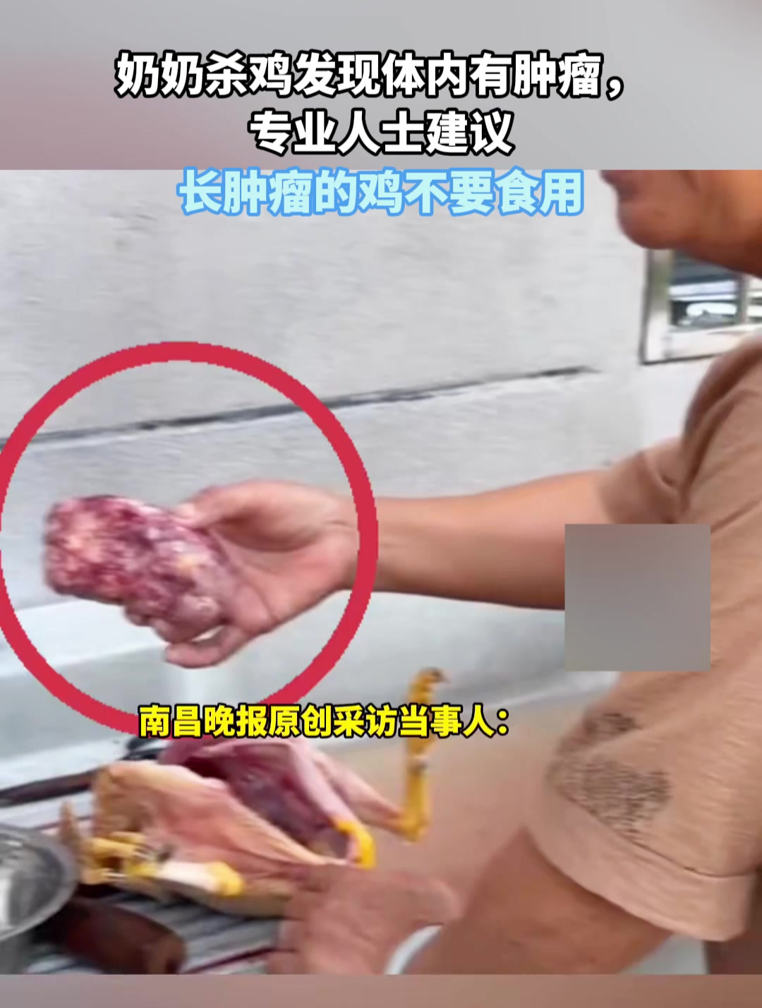 奶奶杀鸡发现体内有肿瘤,专业人士建议:长肿瘤的鸡不要食用