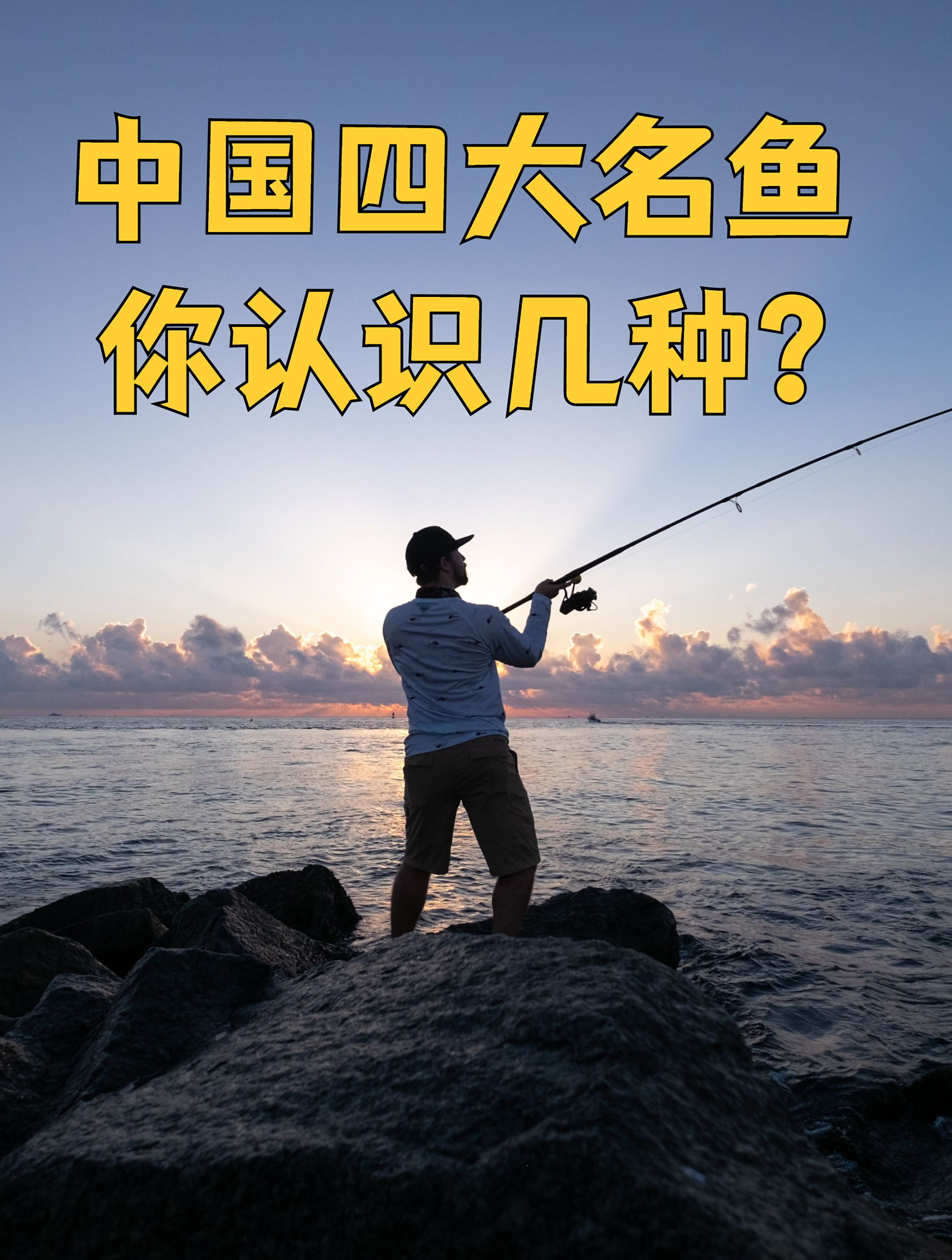 中国四大名鱼,钓友们认识几种?