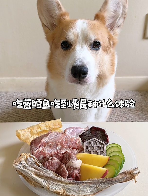 吃蓝鳕鱼吃到爽,是种什么体验?