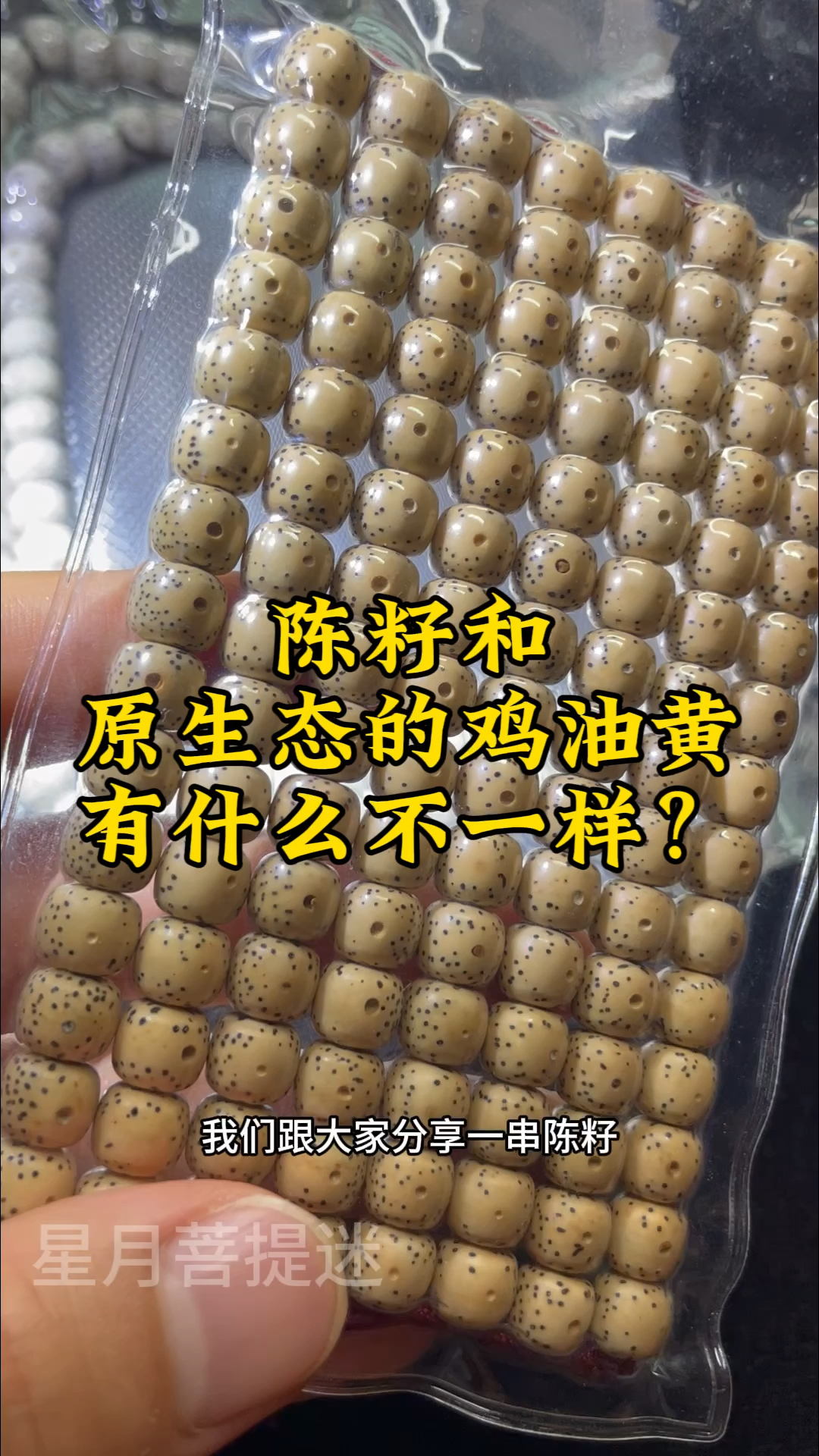 陈籽和原生态鸡油黄有什么不一样