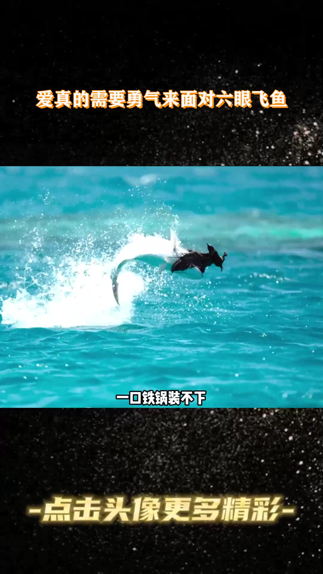 爱真的需要勇气来面对六眼飞鱼1