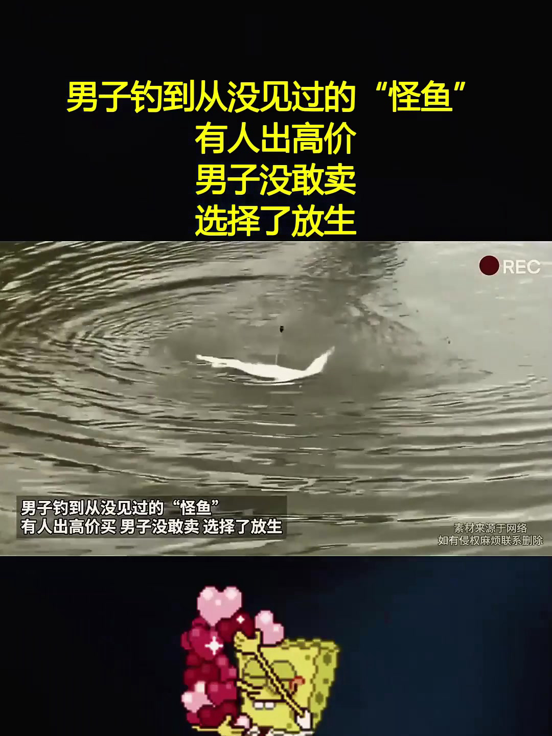 男子钓到从没见过的“怪鱼” 有人出高价 男子没敢卖 选择了放生
