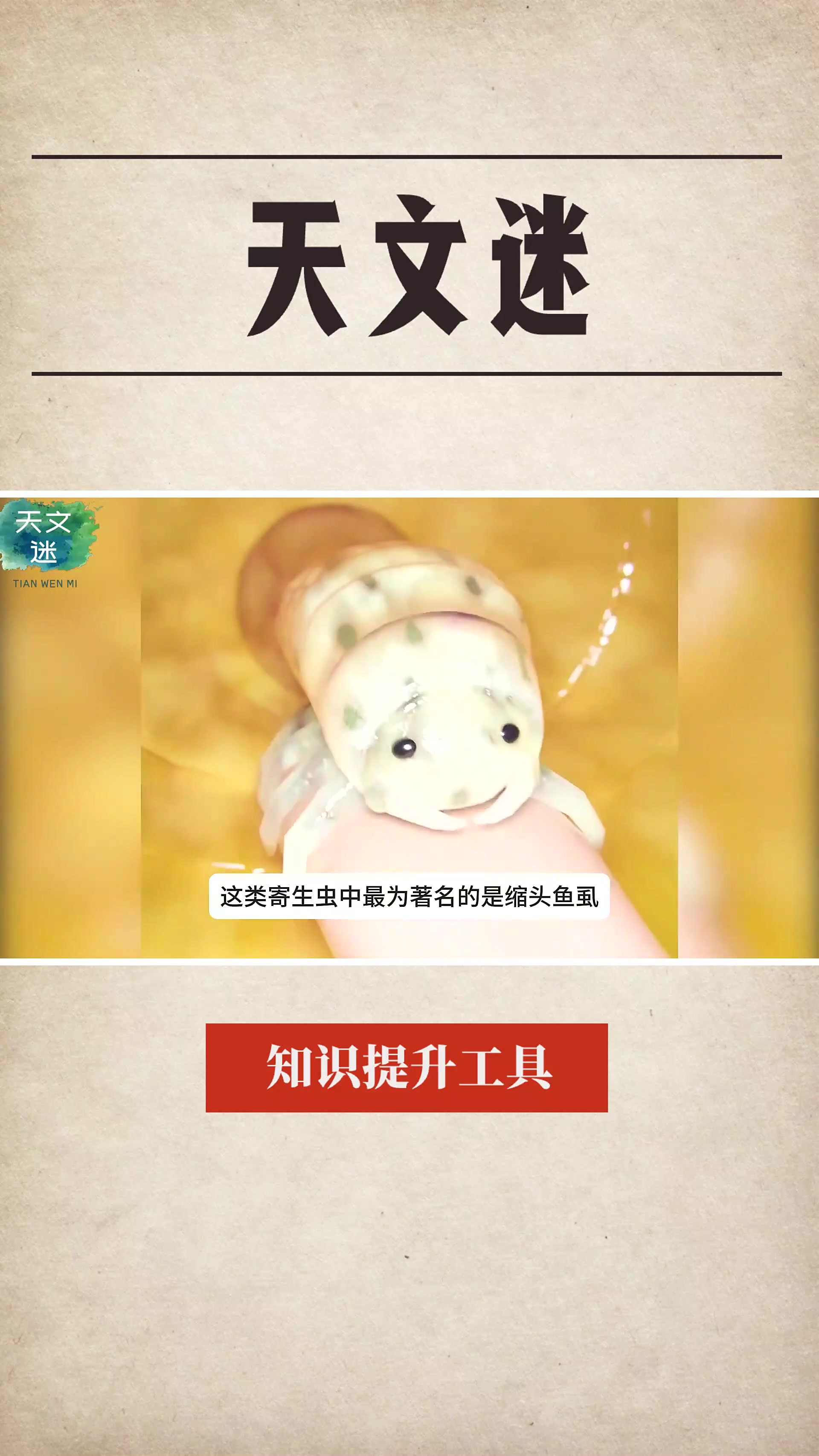 寄生虫如何取代鱼的舌头?