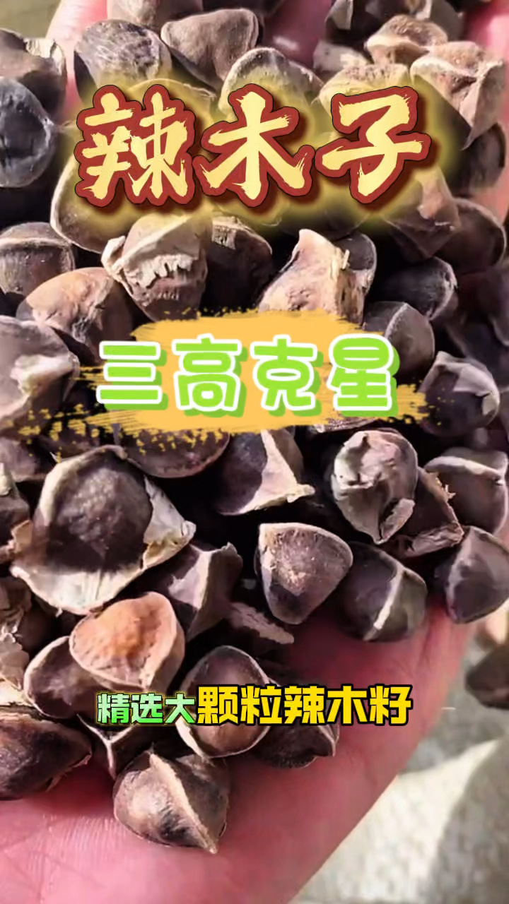 吃辣木子有什么好处,你知道吗?快来了解吧