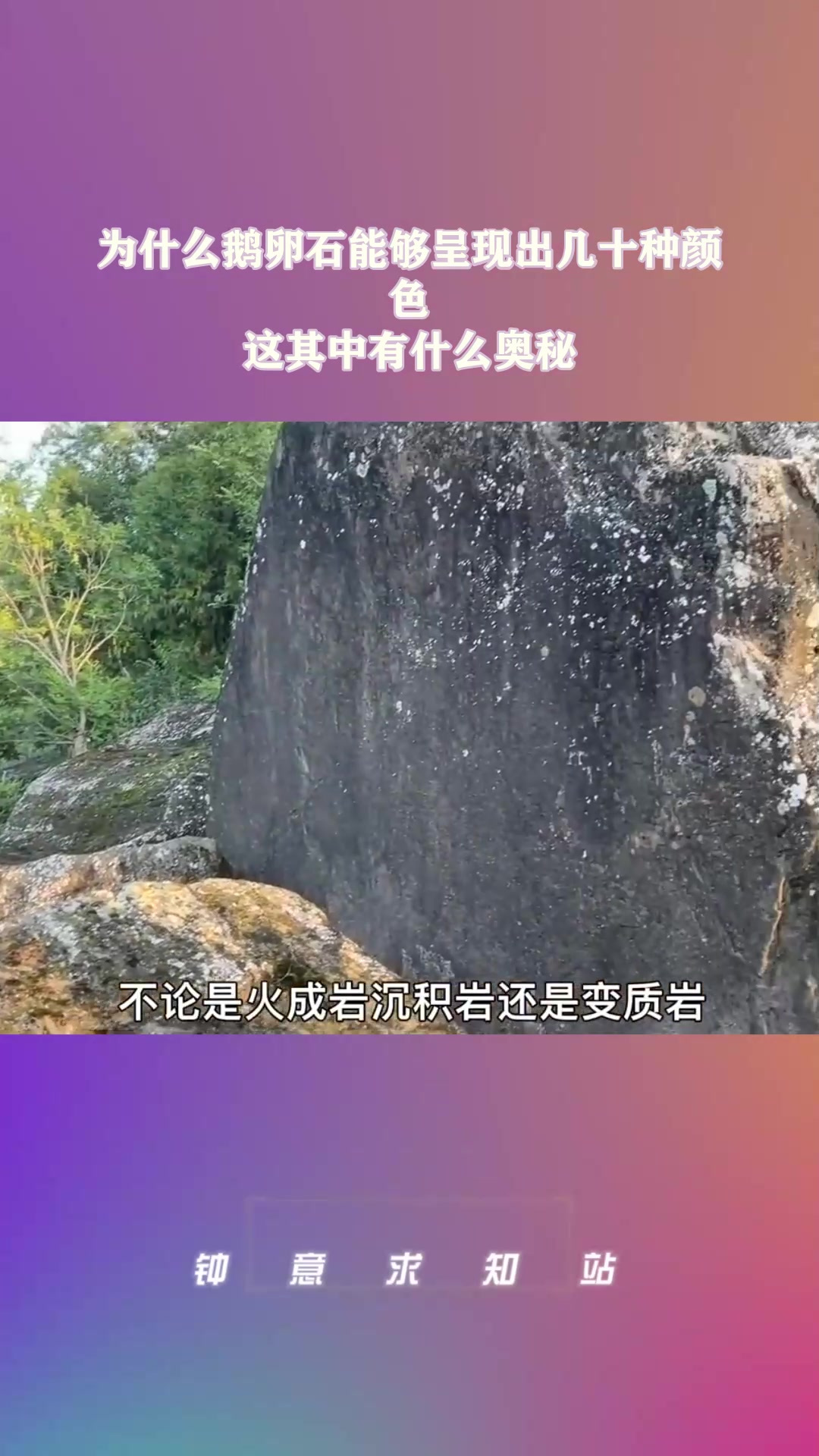 为什么鹅卵石能够呈现出几十种颜色,这其中有什么奥秘?