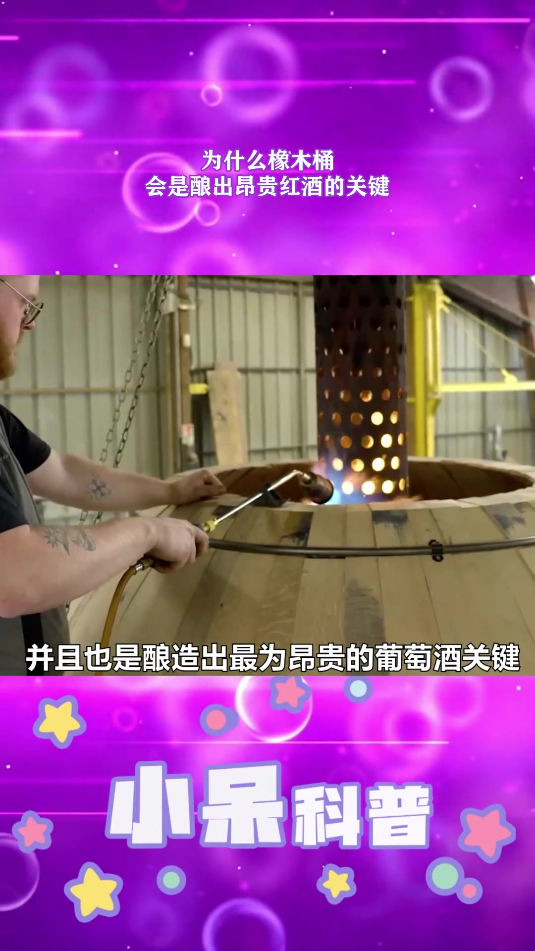 为什么橡木桶,会是酿出昂贵红酒的关键