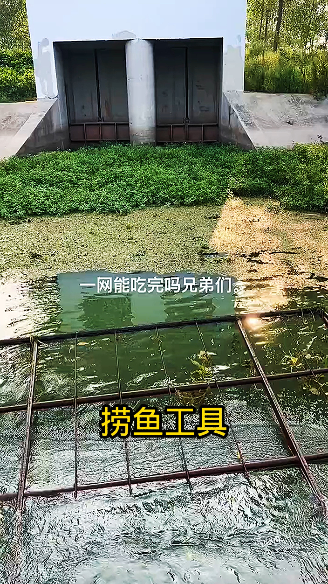 这个捞鱼工具怎么样
