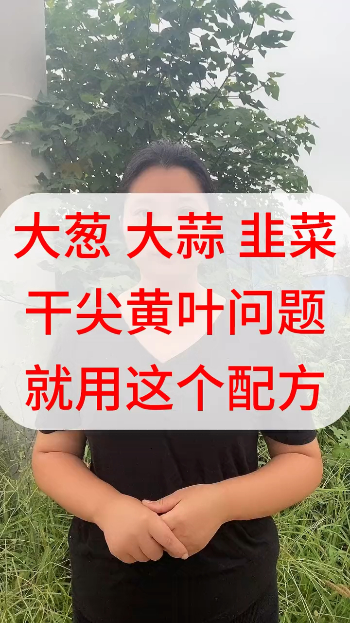 大葱大蒜韭菜干尖黄叶怎么办