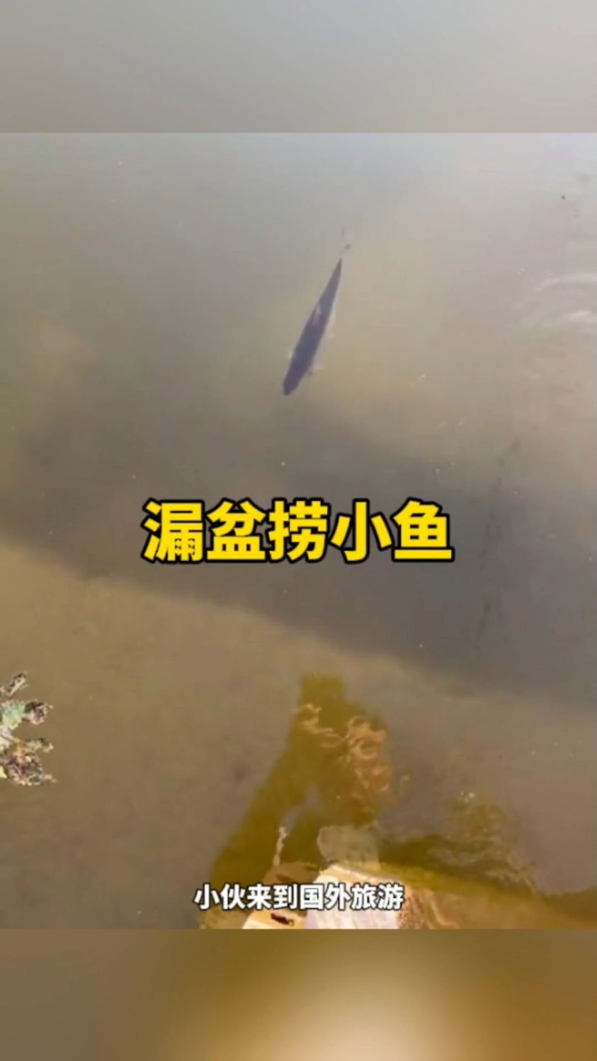 用漏盆在河里捞小鱼