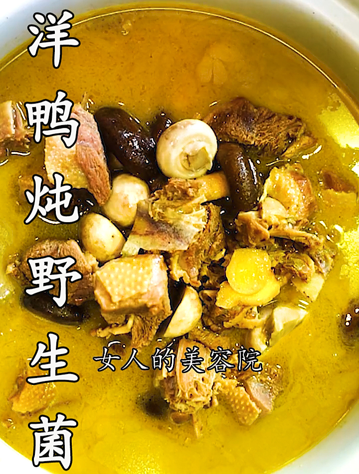 菌子炖鸭,蠢不代发!——洋鸭炖野生菌!