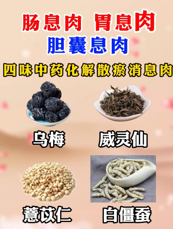 肠息肉、胃息肉、胆囊息肉、四味中药,化解散瘀,消息肉