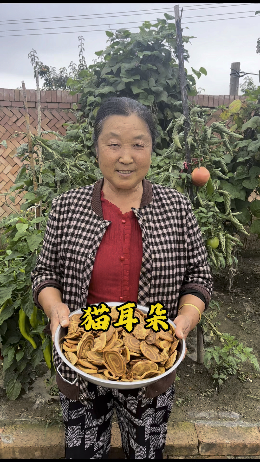 我妈做的猫耳朵太好吃了,做法简单,轻松实现猫耳朵自由