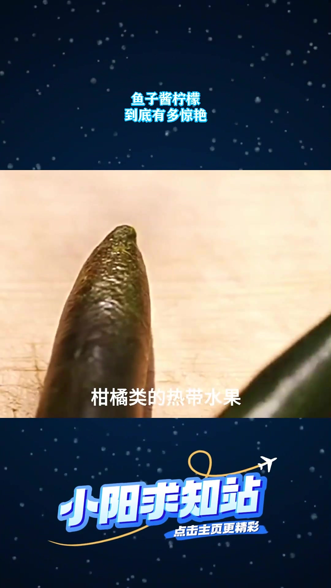 鱼子酱柠檬,到底有多惊艳