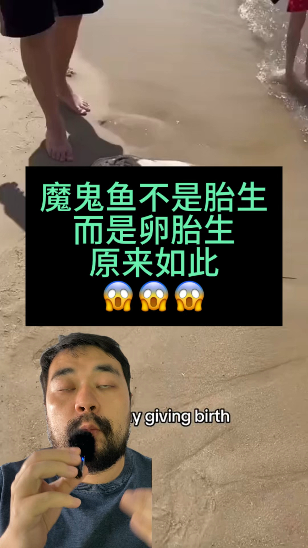 魔鬼鱼不是胎生而是卵胎生 希望你可以了解