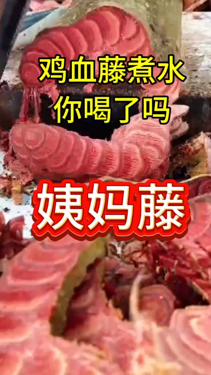 今日安排「鸡血藤」煮水,姐妹们快来收藏!