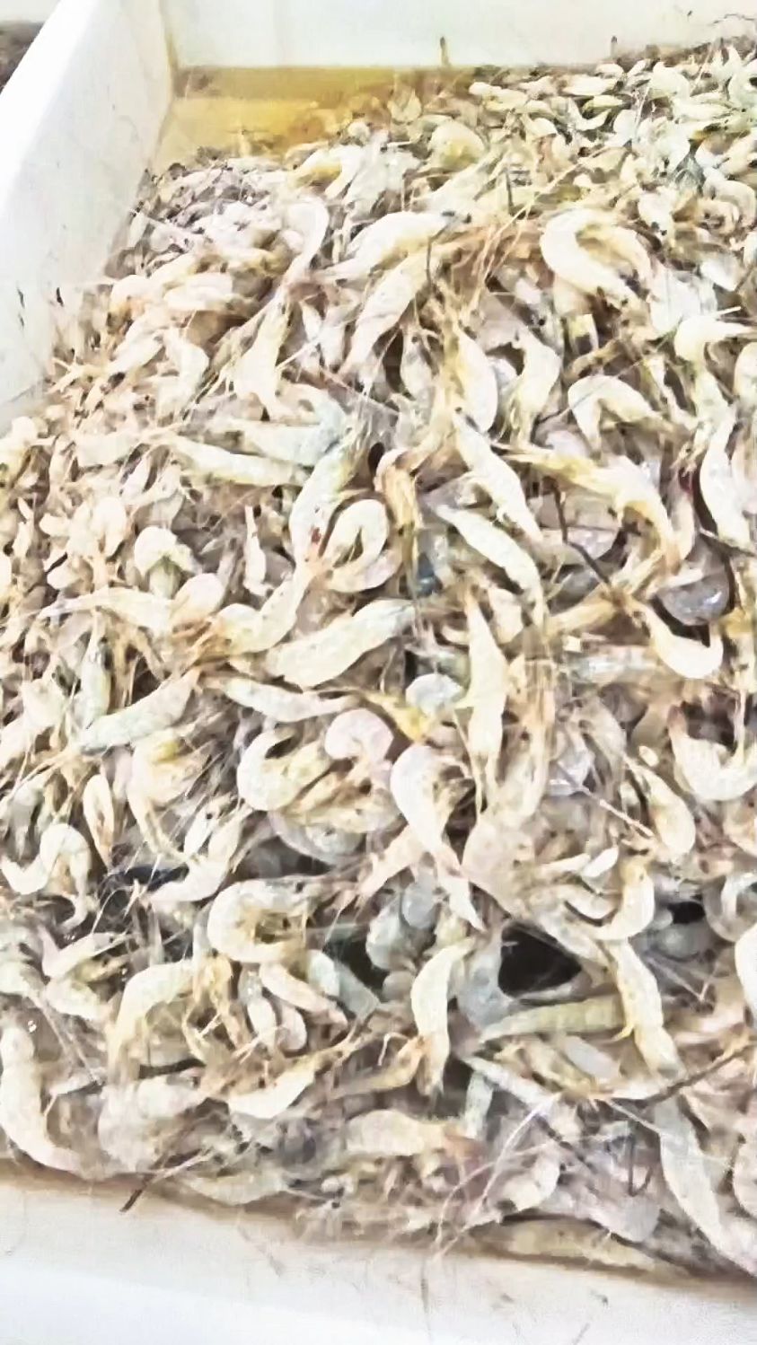 小河虾,不要水煮也不要油炸了,用空气炸锅烤一烤,鲜香酥脆