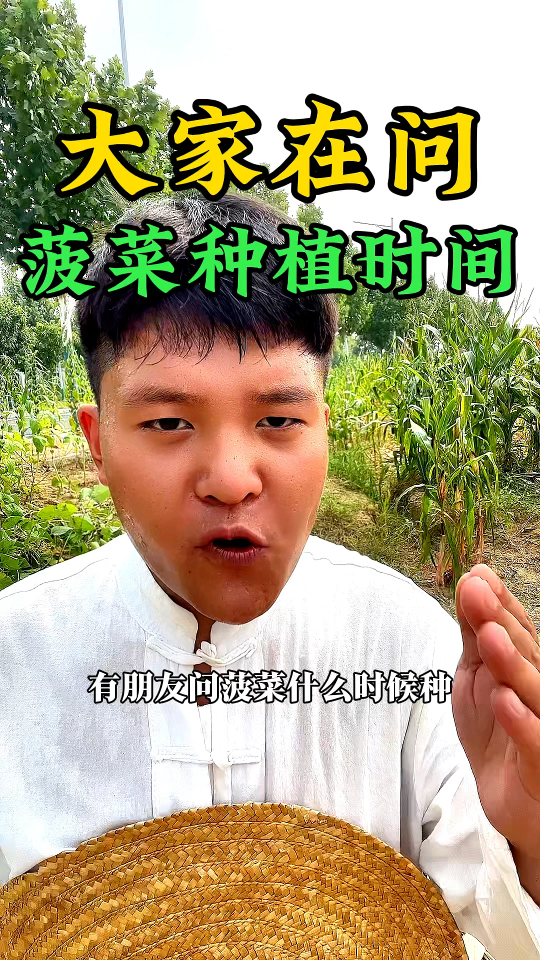 有朋友问,菠菜种植的时间是什么时候