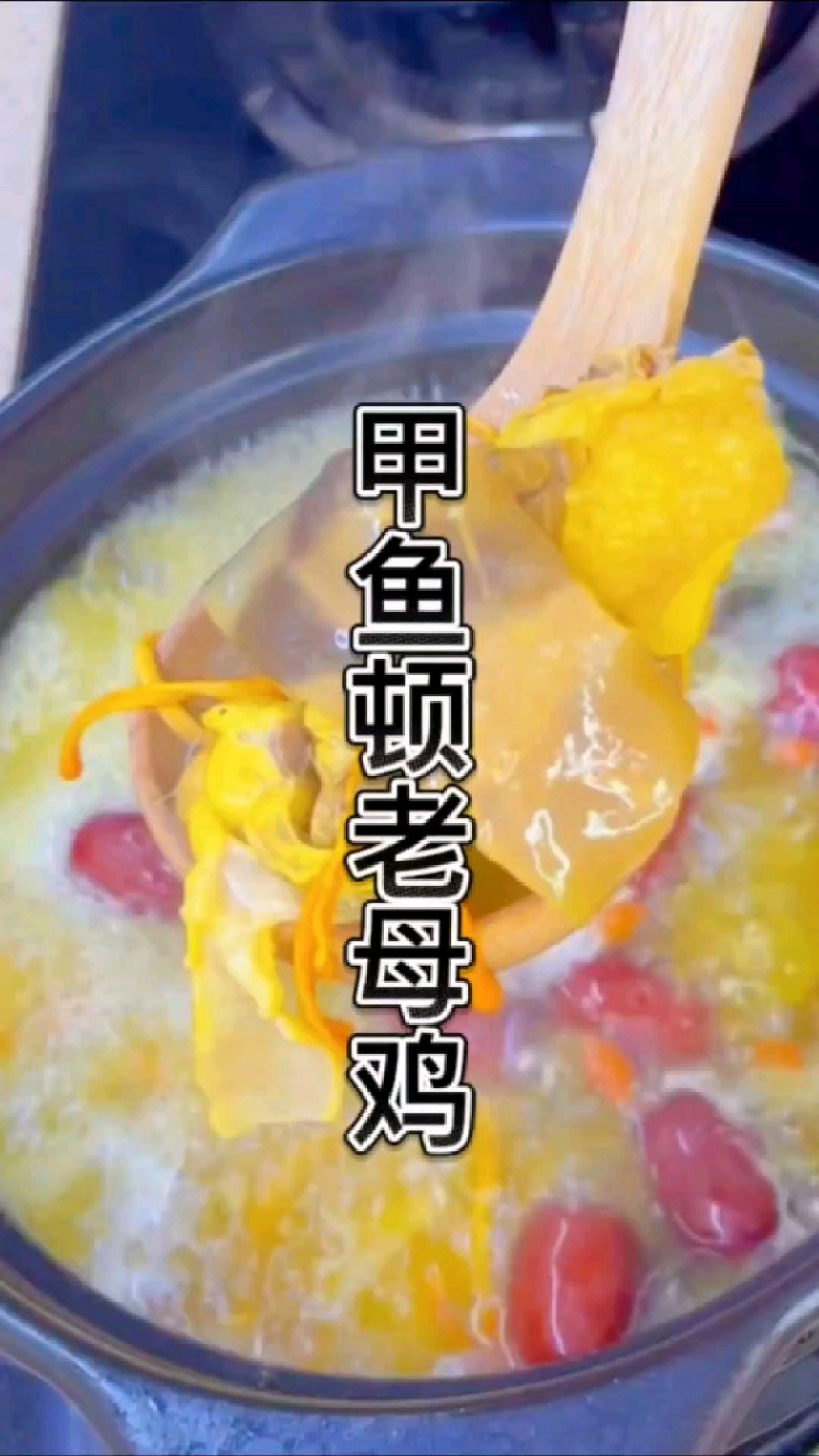 #野生甲鱼顿老母鸡