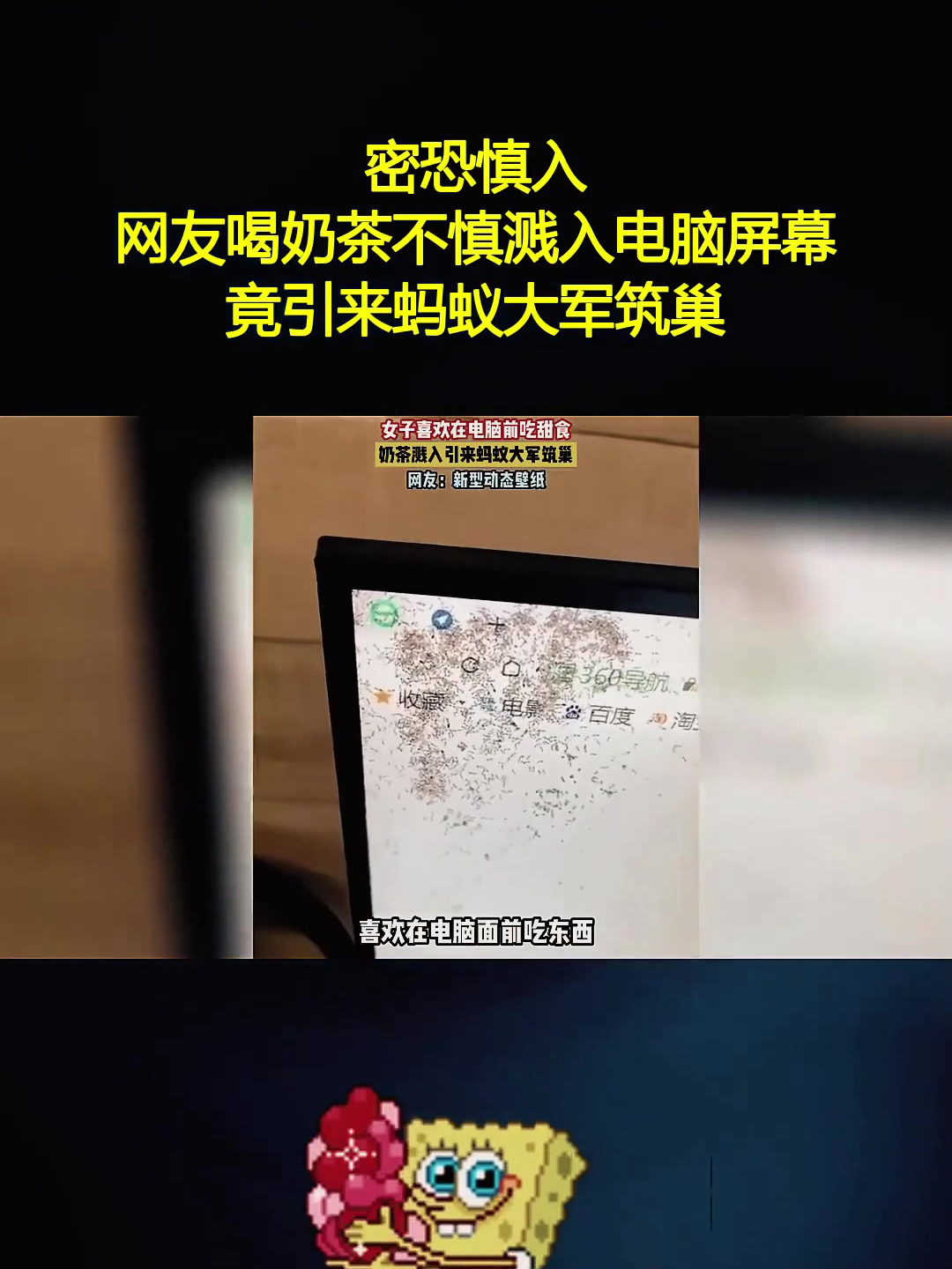 密恐慎入!网友喝奶茶不慎溅入电脑屏幕,竟引来蚂蚁大军筑巢