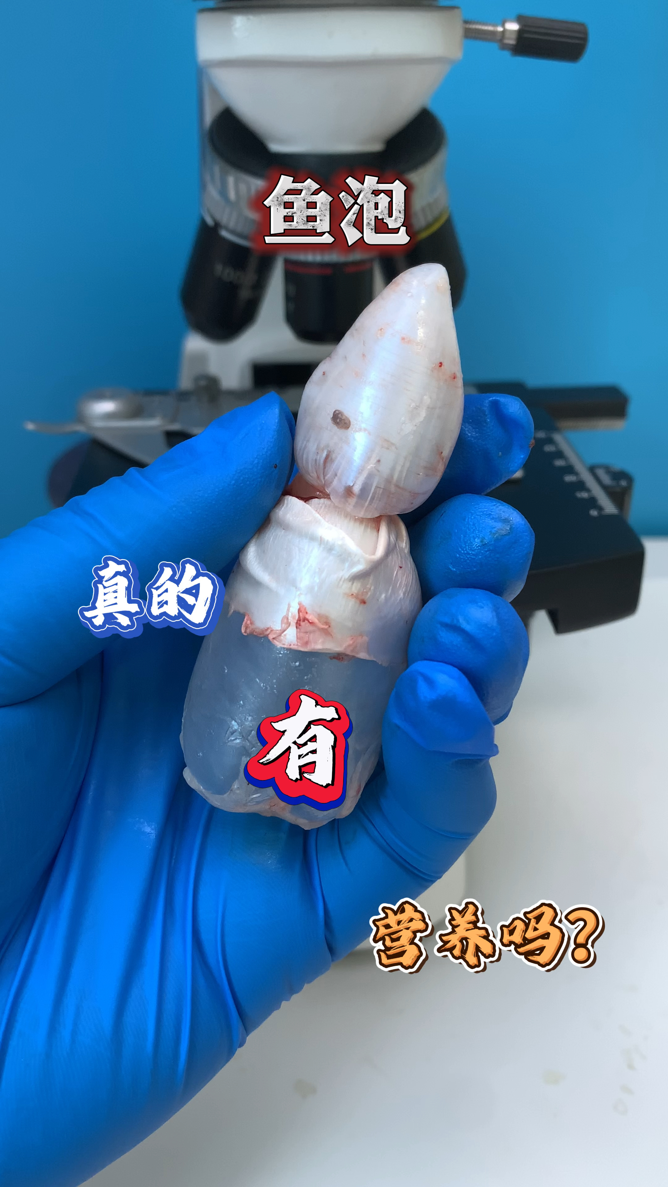 鱼泡真的有营养吗?你喜欢吃吗?