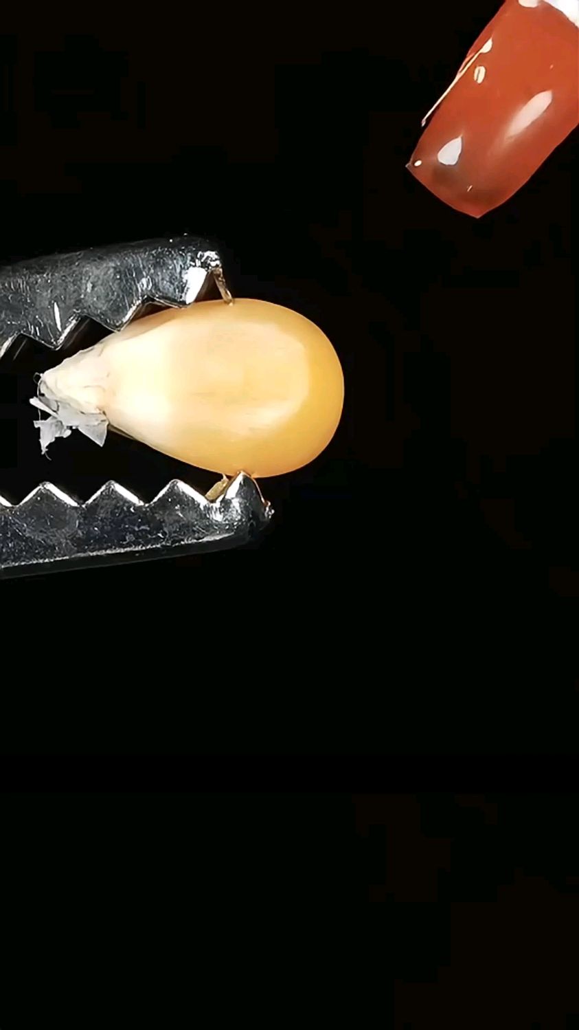 玉米是如何变成爆米花的