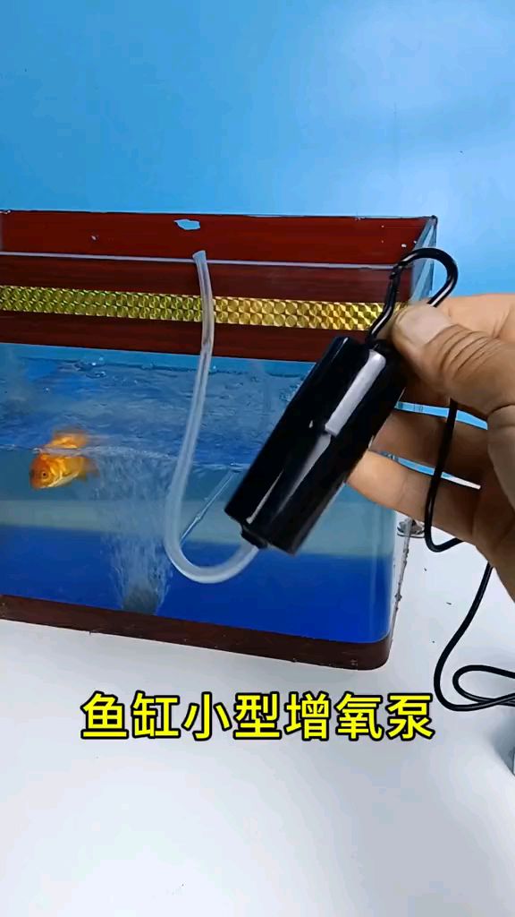 便携式小型鱼缸增氧泵#鱼缸增氧泵