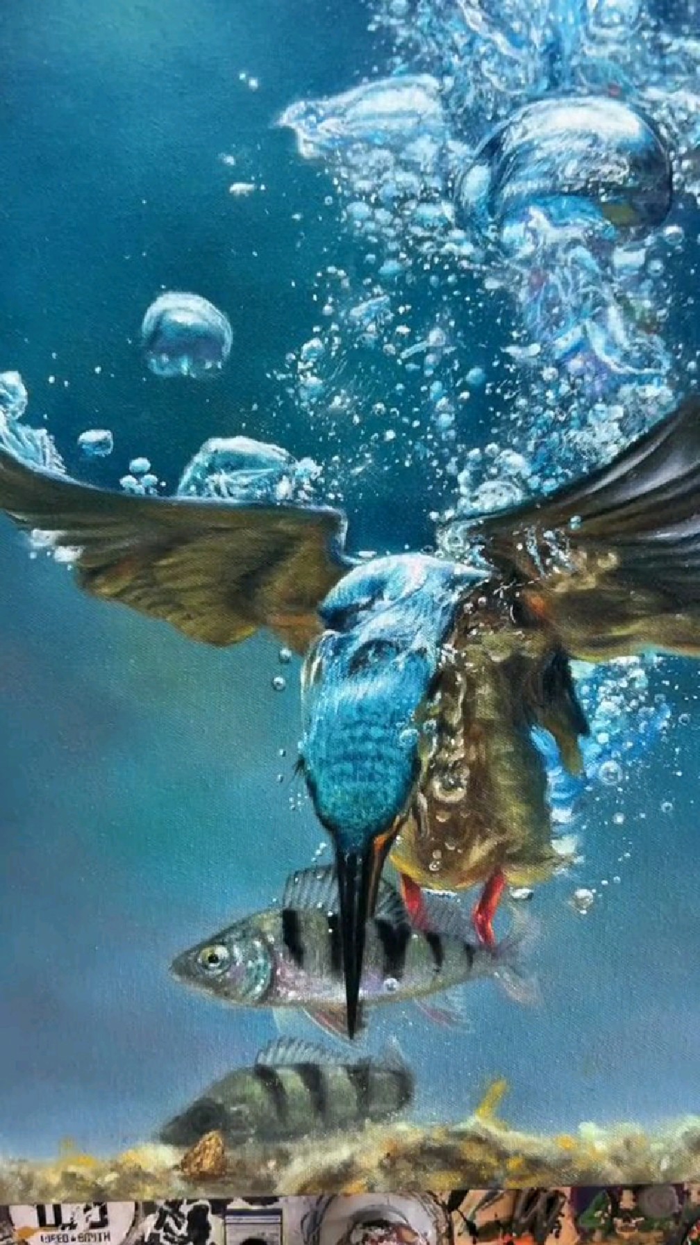 画翠鸟潜入水中捕鱼的瞬间