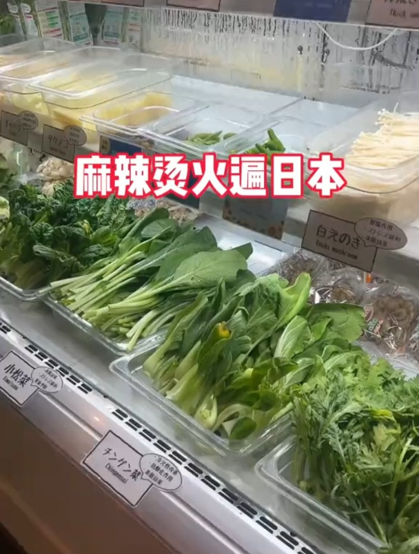 麻辣烫就使出了一成功力就给日本人吃嗨了