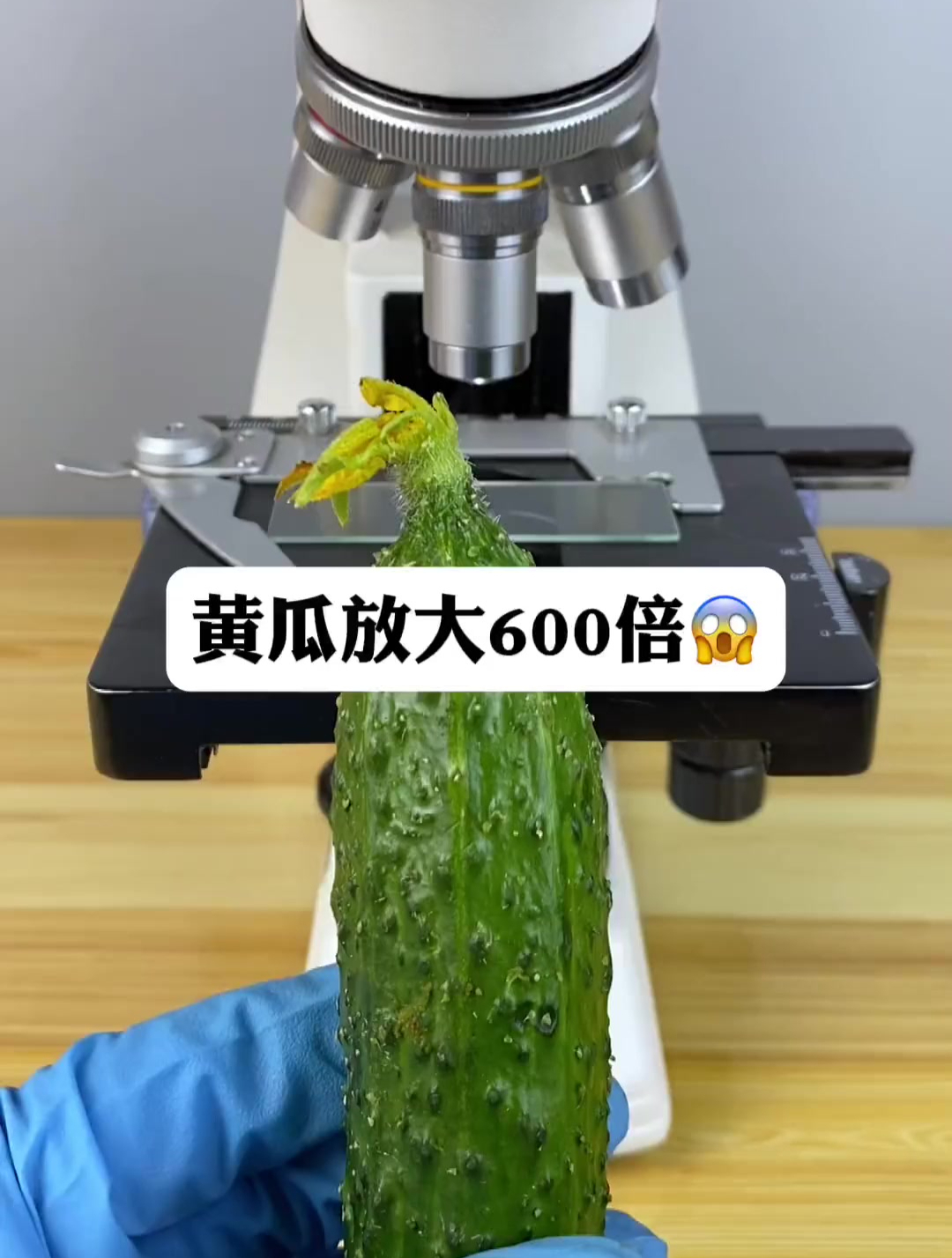 显微镜下的微观世界,催熟黄瓜为什么不能吃