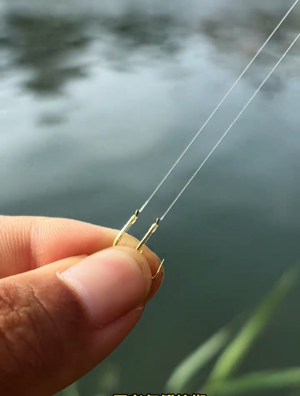 为什么说金海夕才是综合垂钓最强的鱼钩?钓鱼大师详细讲解!