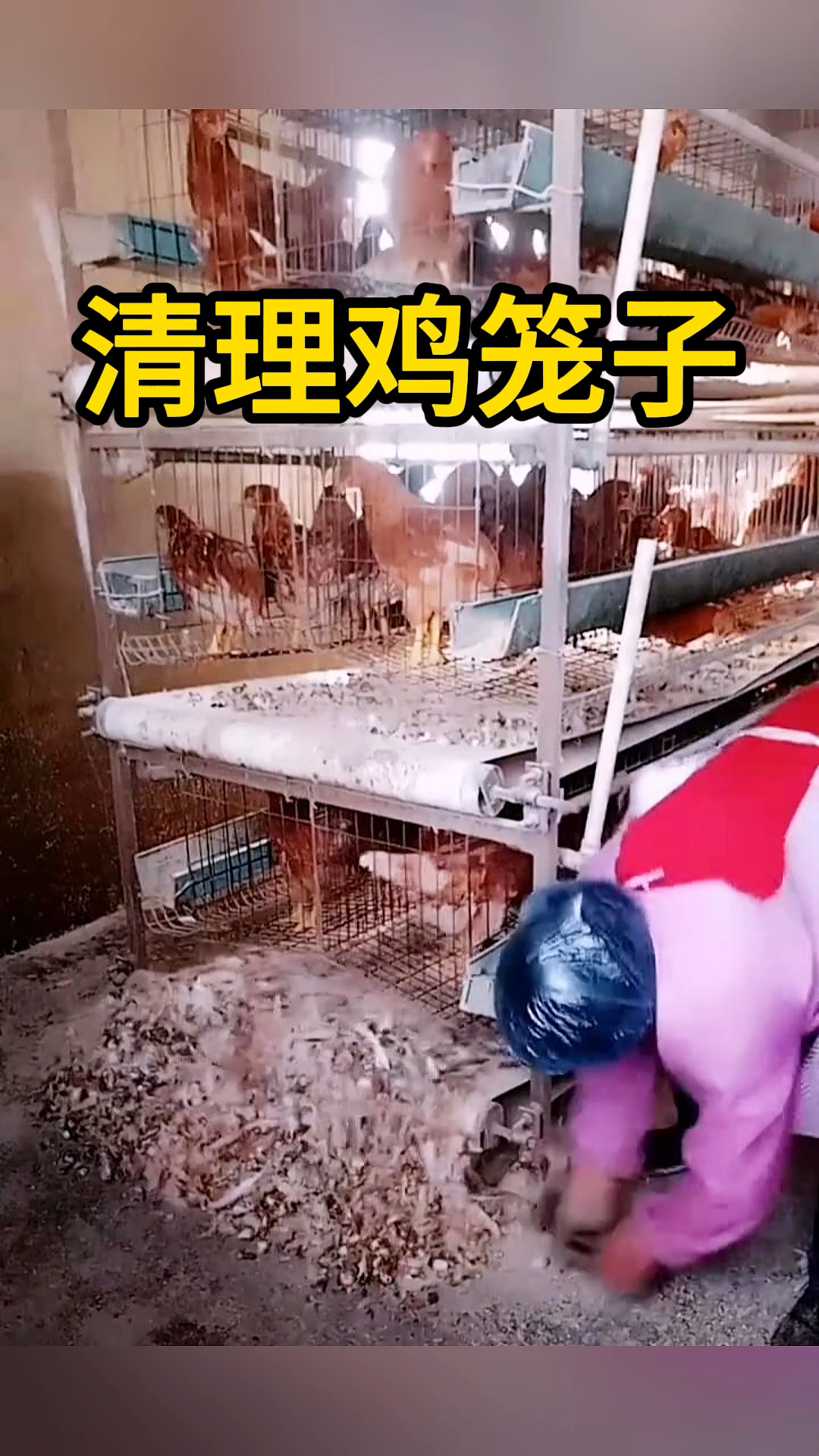 清理鸡笼子,全部技术化