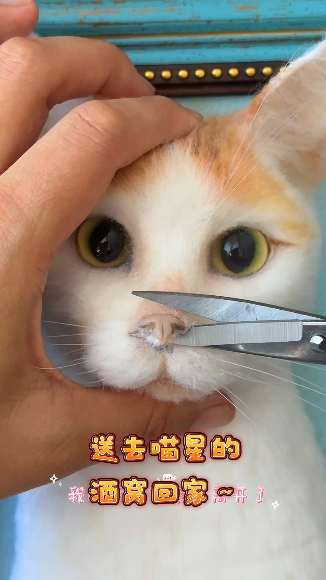 羊毛毡仿真宠物猫咪定制:我的酒窝,突然离开了～～