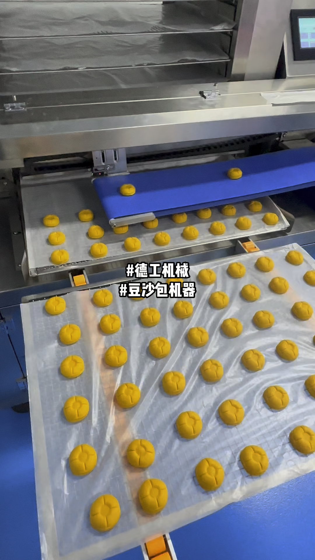 花样卡通包柿子馒头生产流水线设备